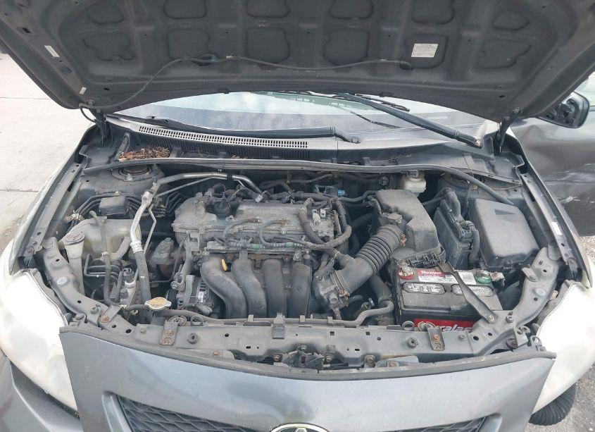 Photo 10 of 2010 Toyota Corolla LE (VIN 1NXBU4EE6AZ247490)