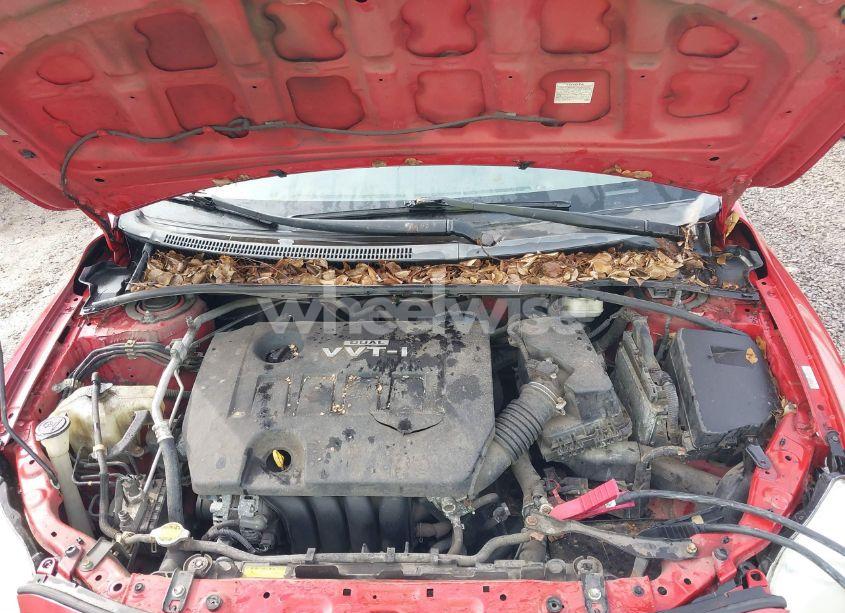 Photo 10 of 2010 Toyota Corolla LE (VIN 1NXBU4EE6AZ249532)