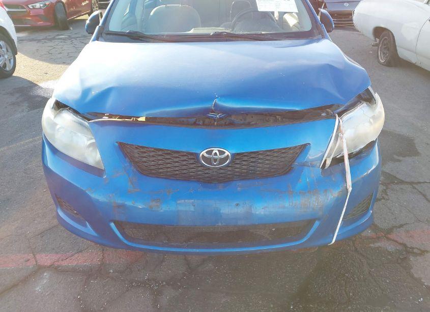 Photo 6 of 2010 Toyota Corolla LE (VIN 1NXBU4EE6AZ271188)