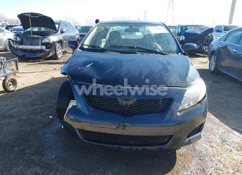 Photo 12 of 2010 Toyota Corolla LE (VIN 1NXBU4EE6AZ330711)