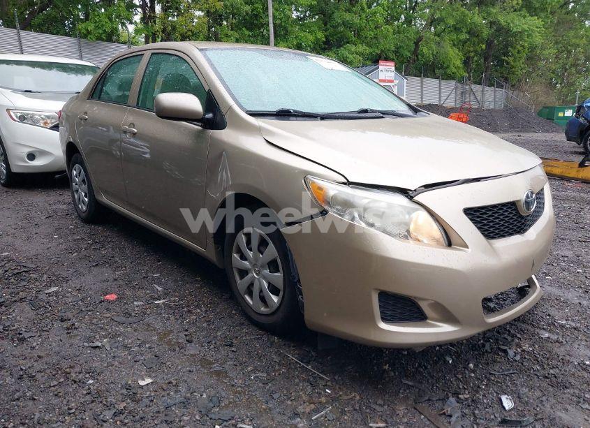 2010 Toyota Corolla LE (VIN 1NXBU4EE6AZ339165) main photo