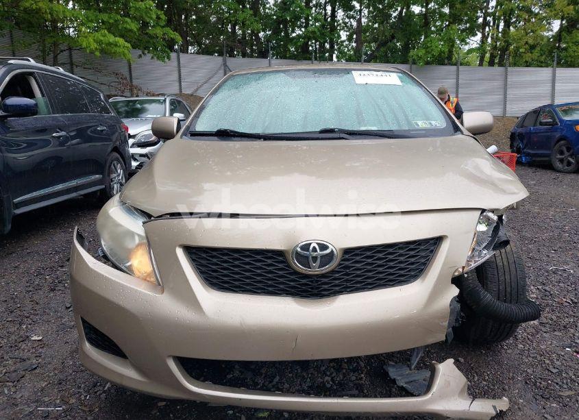 Photo 12 of 2010 Toyota Corolla LE (VIN 1NXBU4EE6AZ339165)