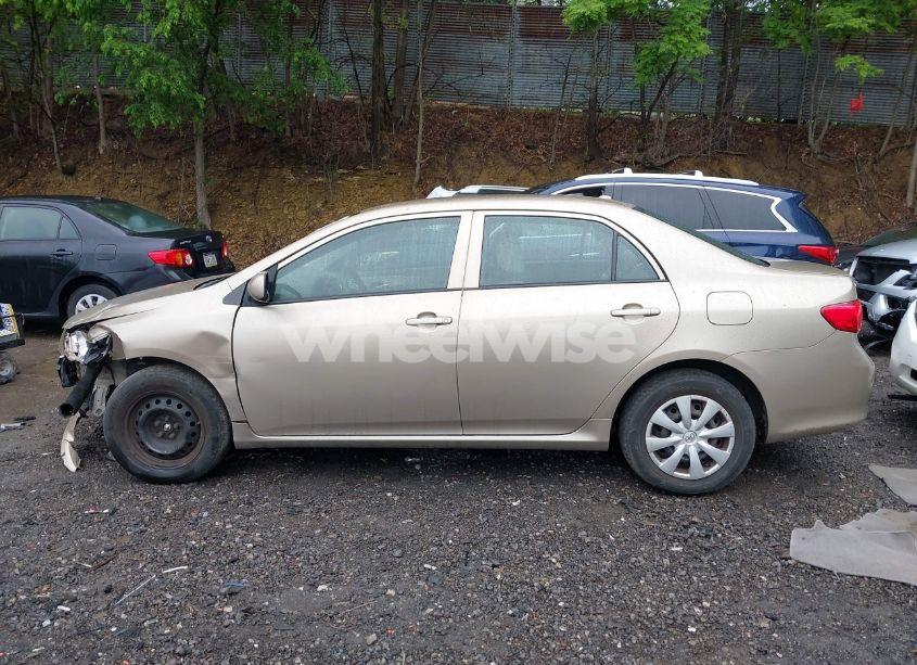 Photo 14 of 2010 Toyota Corolla LE (VIN 1NXBU4EE6AZ339165)