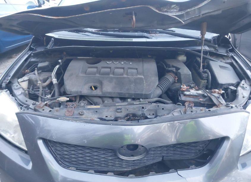 Photo 10 of 2010 Toyota Corolla LE (VIN 1NXBU4EE6AZ352756)