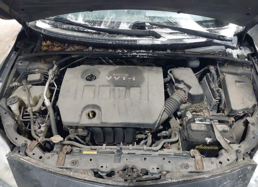 Photo 10 of 2010 Toyota Corolla LE (VIN 1NXBU4EE6AZ363529)