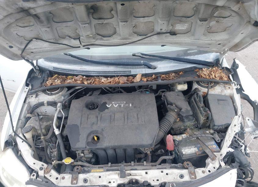 Photo 10 of 2010 Toyota Corolla LE (VIN 1NXBU4EE7AZ193892)