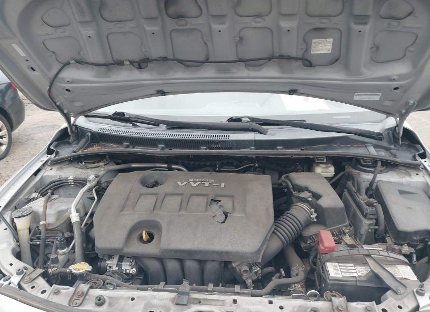 Photo 10 of 2010 Toyota Corolla LE (VIN 1NXBU4EE7AZ220489)