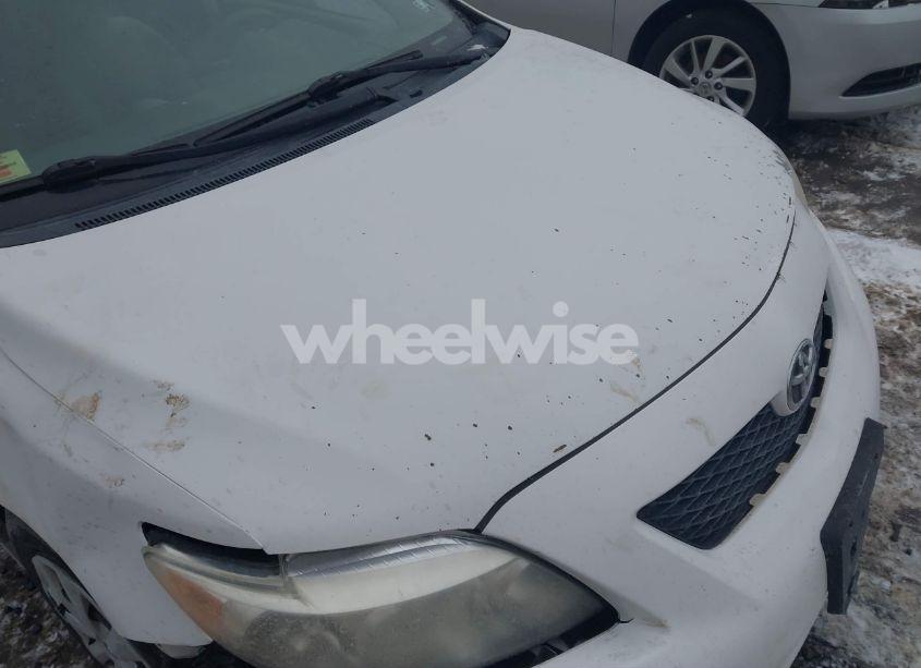 Photo 10 of 2010 Toyota Corolla LE (VIN 1NXBU4EE7AZ260765)