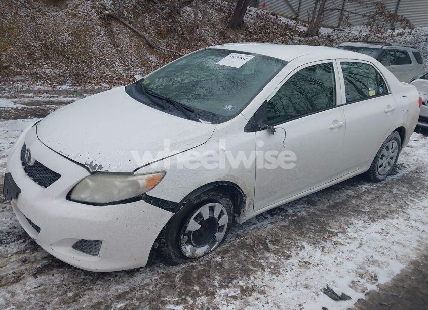 Photo 2 of 2010 Toyota Corolla LE (VIN 1NXBU4EE7AZ260765)