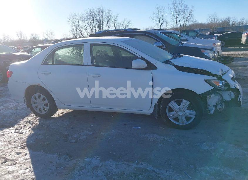 Photo 14 of 2010 Toyota Corolla LE (VIN 1NXBU4EE7AZ282863)