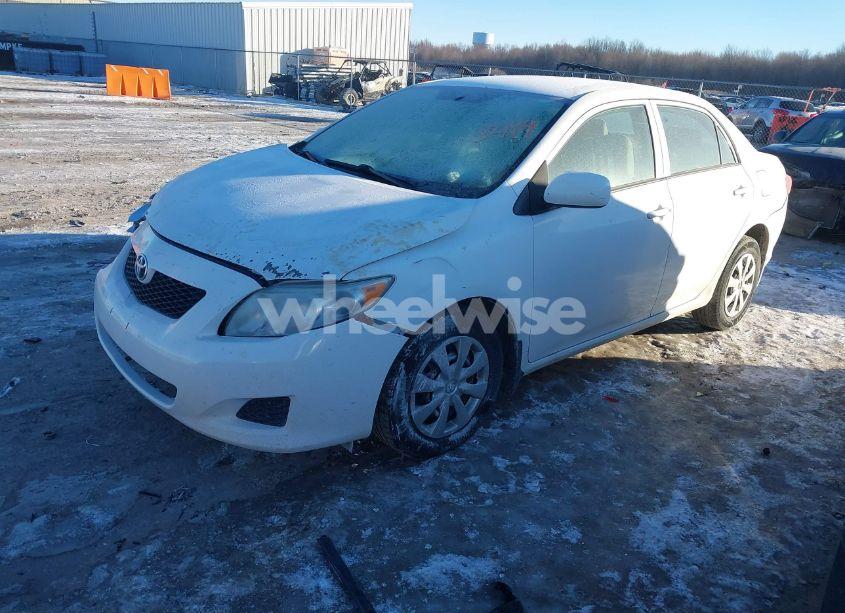 Photo 2 of 2010 Toyota Corolla LE (VIN 1NXBU4EE7AZ282863)