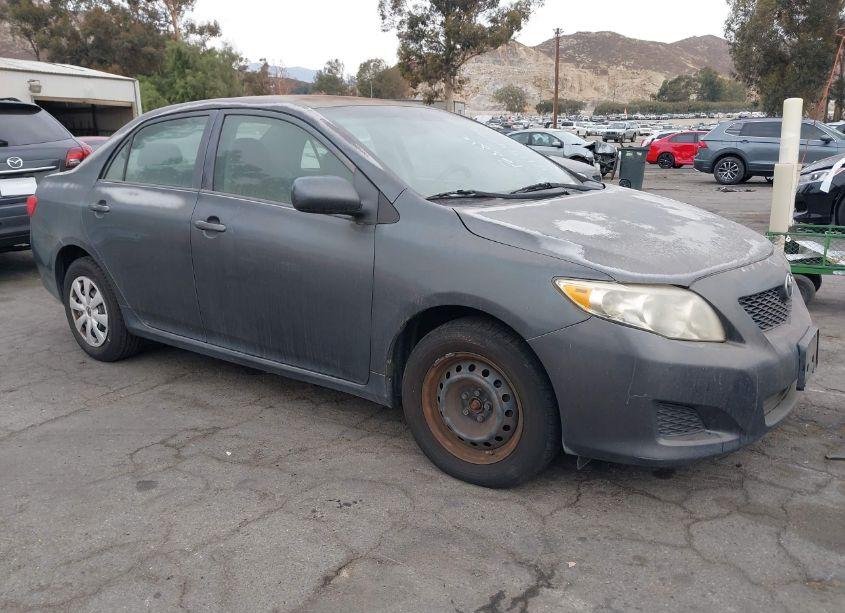 2010 Toyota Corolla LE (VIN 1NXBU4EE7AZ334265) main photo