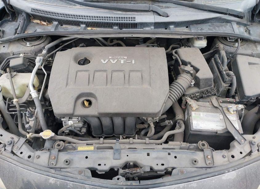 Photo 10 of 2010 Toyota Corolla LE (VIN 1NXBU4EE7AZ334265)