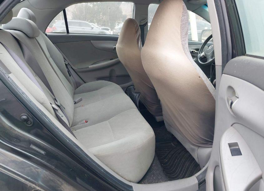 Photo 8 of 2010 Toyota Corolla LE (VIN 1NXBU4EE7AZ334265)