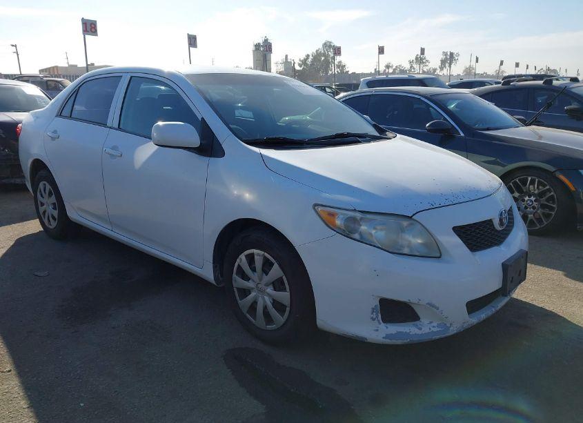 2010 Toyota Corolla LE (VIN 1NXBU4EE7AZ364205) main photo
