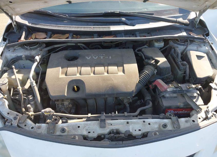 Photo 10 of 2010 Toyota Corolla LE (VIN 1NXBU4EE7AZ364205)