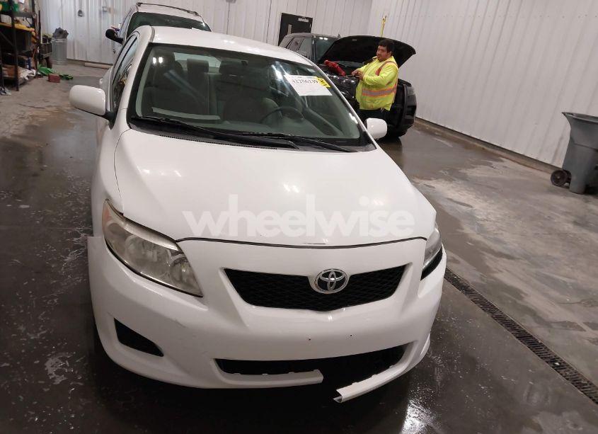 Photo 12 of 2010 Toyota Corolla LE (VIN 1NXBU4EE8AZ186613)