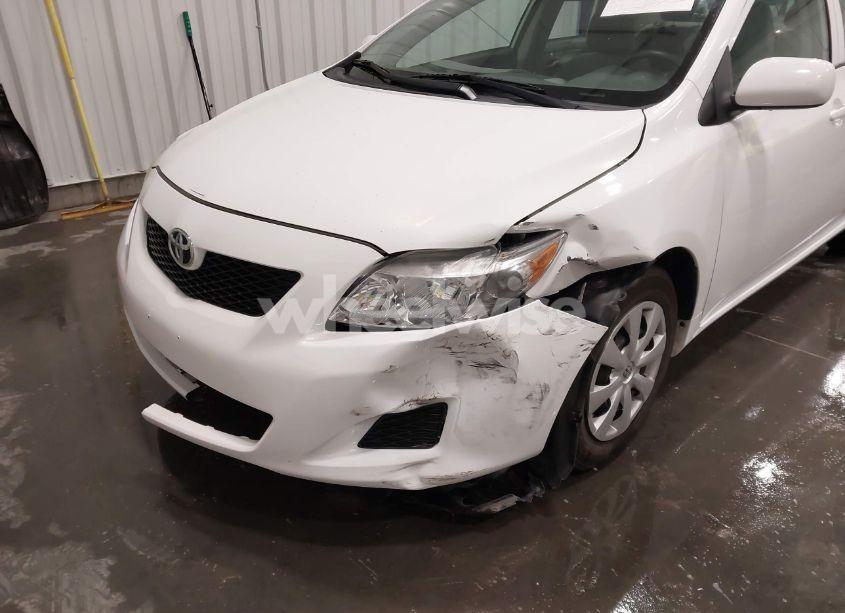 Photo 6 of 2010 Toyota Corolla LE (VIN 1NXBU4EE8AZ186613)