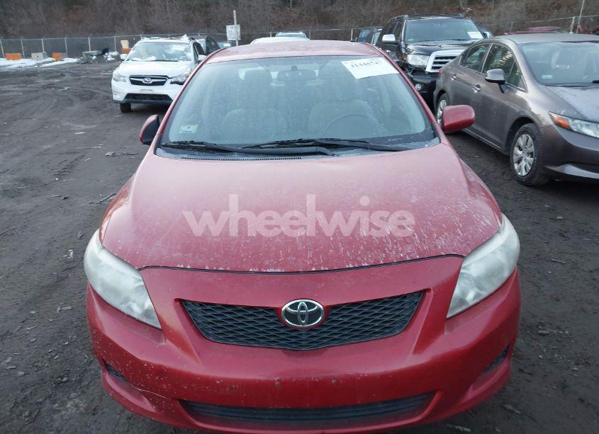 Photo 6 of 2010 Toyota Corolla LE (VIN 1NXBU4EE8AZ192010)