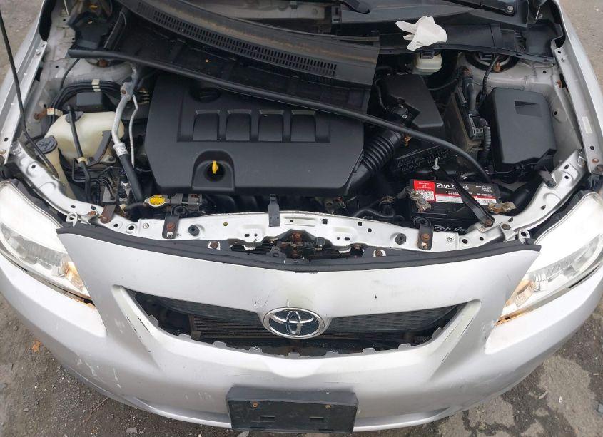 Photo 10 of 2010 Toyota Corolla LE (VIN 1NXBU4EE8AZ209324)