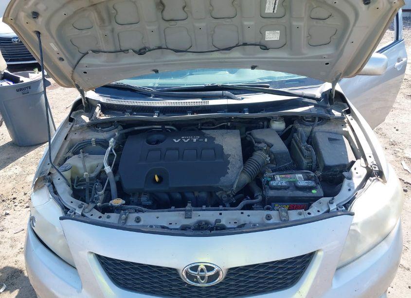 Photo 10 of 2010 Toyota Corolla LE (VIN 1NXBU4EE8AZ221263)