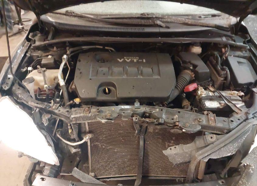 Photo 10 of 2010 Toyota Corolla (VIN 1NXBU4EE8AZ246325)