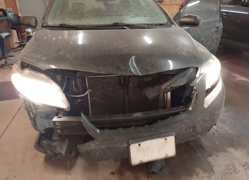 Photo 6 of 2010 Toyota Corolla (VIN 1NXBU4EE8AZ246325)