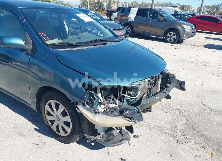 Photo 13 of 2010 Toyota Corolla LE (VIN 1NXBU4EE8AZ248575)