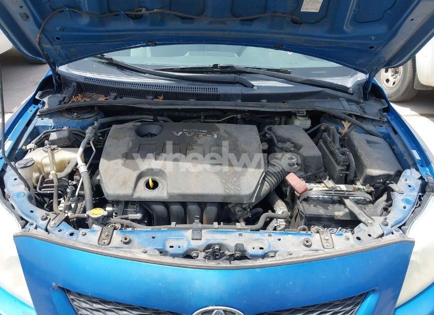 Photo 10 of 2010 Toyota Corolla LE (VIN 1NXBU4EE8AZ297307)