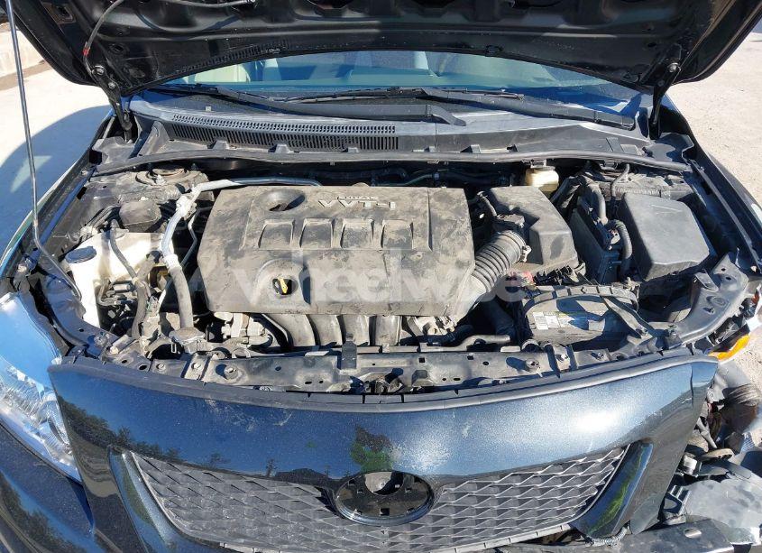 Photo 10 of 2010 Toyota Corolla LE (VIN 1NXBU4EE8AZ304367)