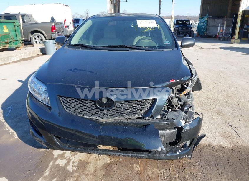 Photo 6 of 2010 Toyota Corolla LE (VIN 1NXBU4EE8AZ304367)