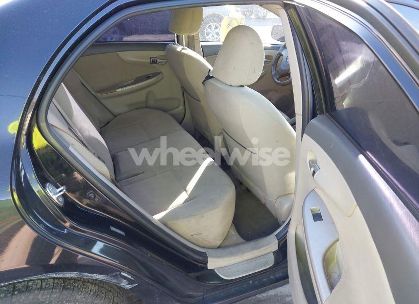 Photo 8 of 2010 Toyota Corolla LE (VIN 1NXBU4EE8AZ304367)