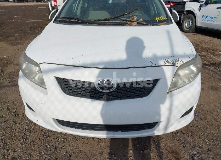 Photo 6 of 2010 Toyota Corolla LE (VIN 1NXBU4EE8AZ329236)