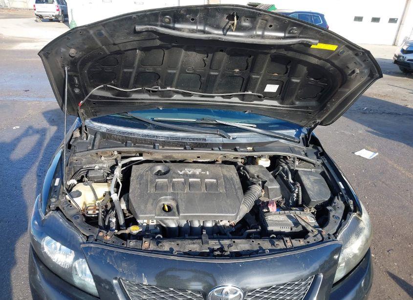 Photo 10 of 2010 Toyota Corolla LE (VIN 1NXBU4EE8AZ330726)