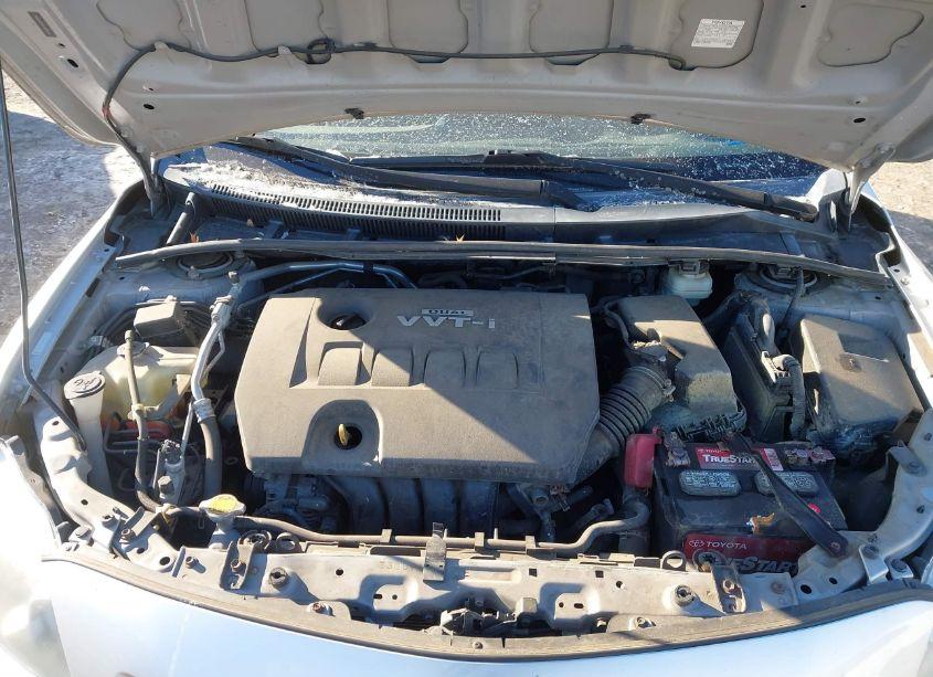 Photo 10 of 2010 Toyota Corolla LE (VIN 1NXBU4EE8AZ333609)