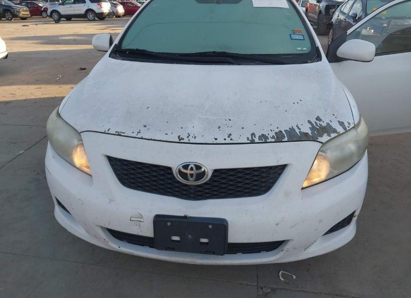 Photo 6 of 2010 Toyota Corolla LE (VIN 1NXBU4EE8AZ357571)