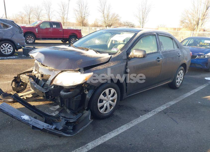 Photo 2 of 2010 Toyota Corolla LE (VIN 1NXBU4EE8AZ361345)