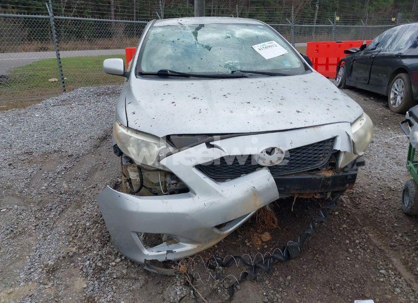 Photo 6 of 2010 Toyota Corolla LE (VIN 1NXBU4EE9AZ179654)