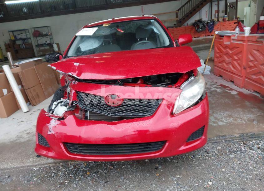 Photo 12 of 2010 Toyota Corolla LE (VIN 1NXBU4EE9AZ187057)