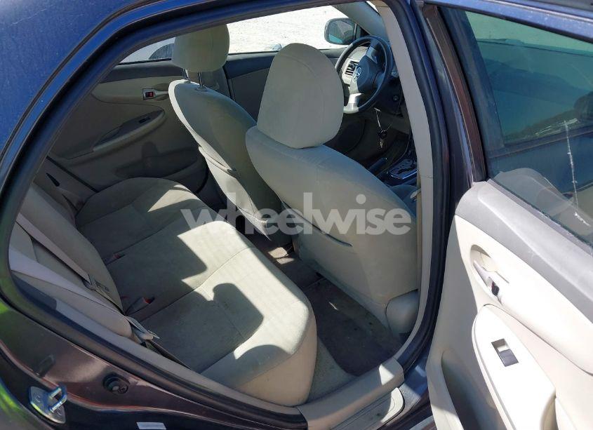 Photo 8 of 2010 Toyota Corolla LE (VIN 1NXBU4EE9AZ225855)