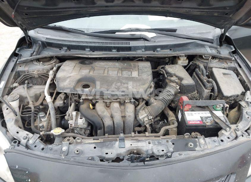 Photo 10 of 2010 Toyota Corolla LE (VIN 1NXBU4EE9AZ281858)