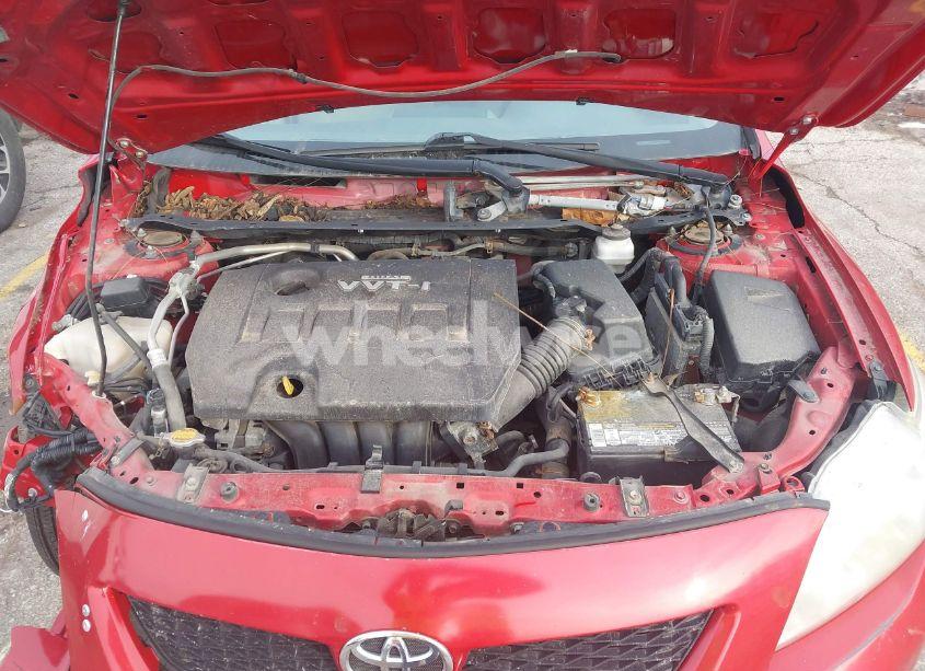 Photo 10 of 2010 Toyota Corolla LE (VIN 1NXBU4EE9AZ282007)