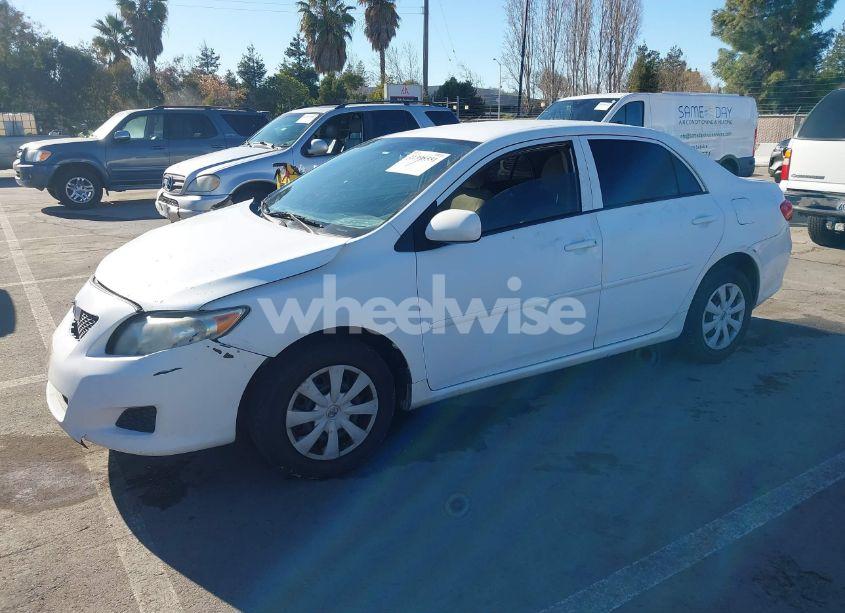 Photo 2 of 2010 Toyota Corolla LE (VIN 1NXBU4EE9AZ294271)