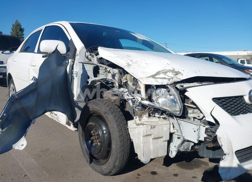 Photo 6 of 2010 Toyota Corolla LE (VIN 1NXBU4EE9AZ294271)