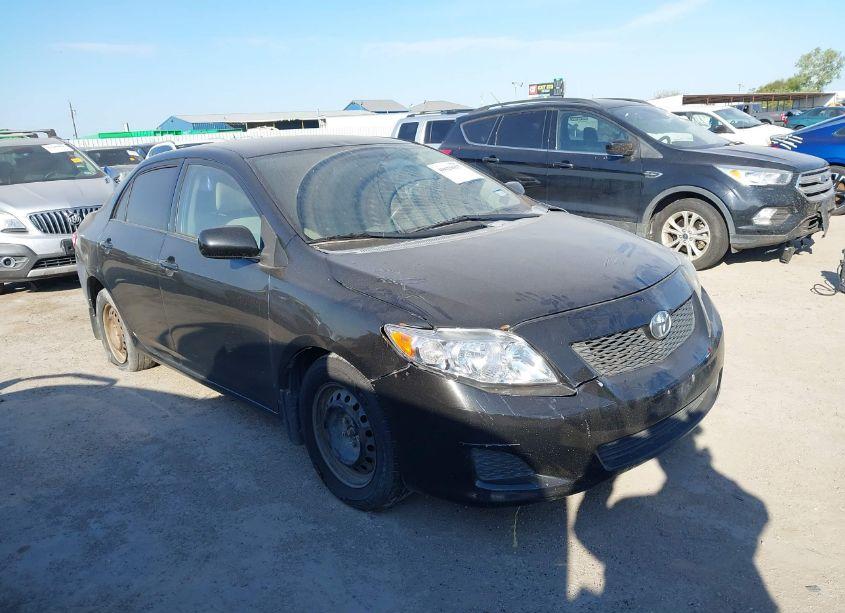 2010 Toyota Corolla LE (VIN 1NXBU4EE9AZ318102) main photo