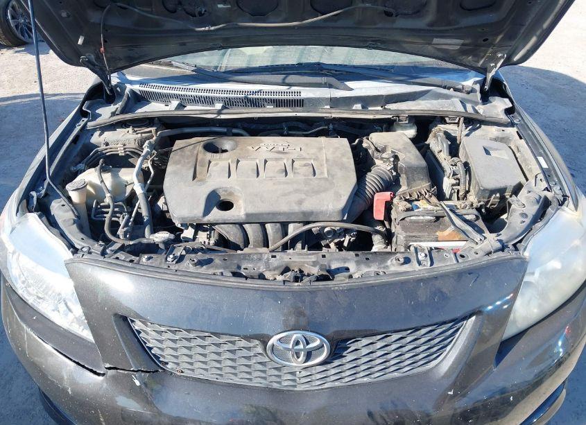 Photo 10 of 2010 Toyota Corolla LE (VIN 1NXBU4EE9AZ318102)