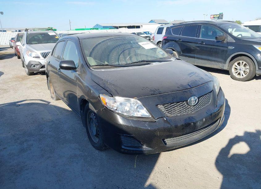 Photo 6 of 2010 Toyota Corolla LE (VIN 1NXBU4EE9AZ318102)