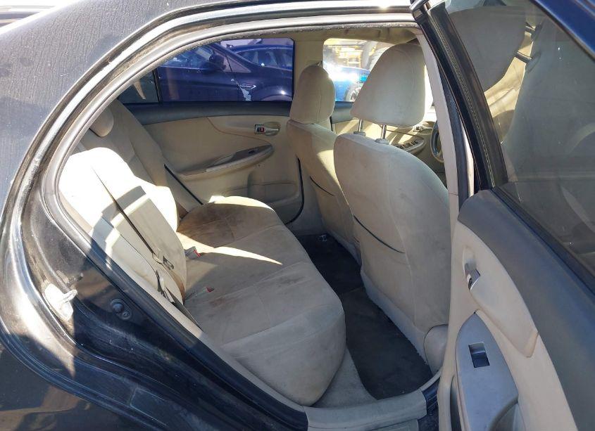 Photo 8 of 2010 Toyota Corolla LE (VIN 1NXBU4EE9AZ318102)