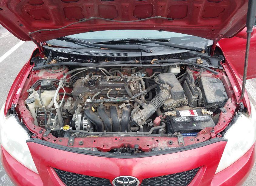 Photo 10 of 2010 Toyota Corolla LE (VIN 1NXBU4EE9AZ326393)