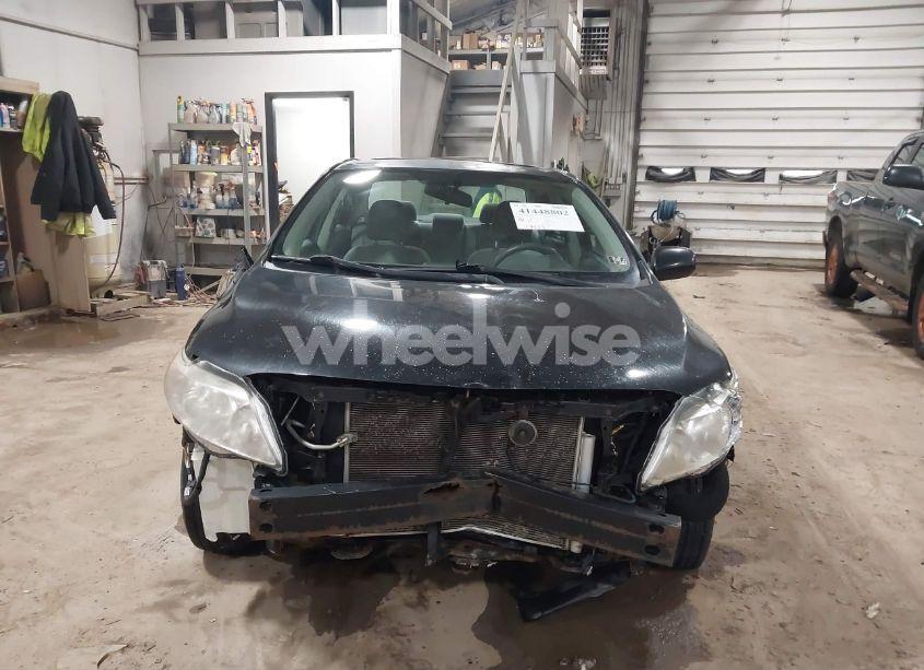 Photo 12 of 2010 Toyota Corolla LE (VIN 1NXBU4EE9AZ332789)